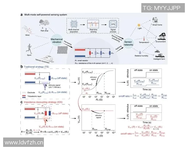 探索CSGO战术中的LNG节奏体系与团队配合策略分析