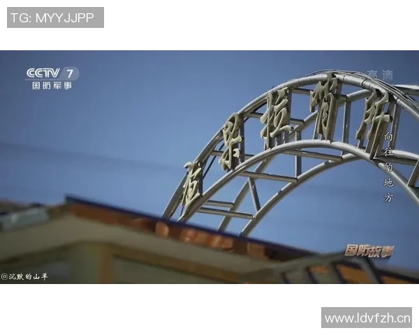 武汉街舞队防守策略分析与比赛表现评估探讨 武汉街舞队防守策略分析与比赛表现评估探讨