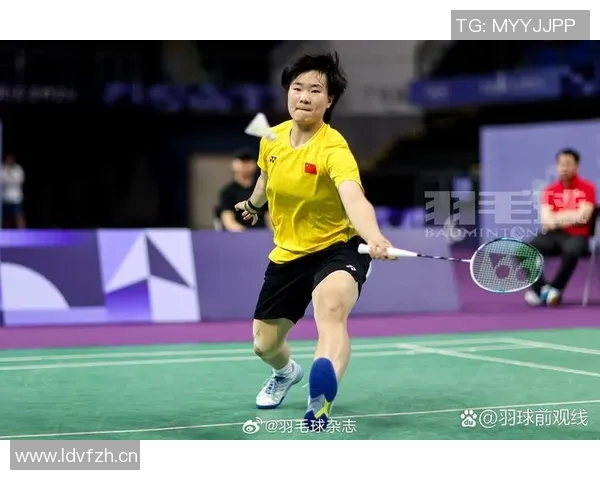 深入探讨杭州羽毛球队比赛经验与表现的关系及其影响因素分析 深入探讨杭州羽毛球队比赛经验与表现的关系及其影响因素分析